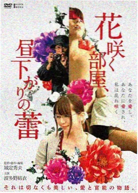 光影纪实电影素材封面